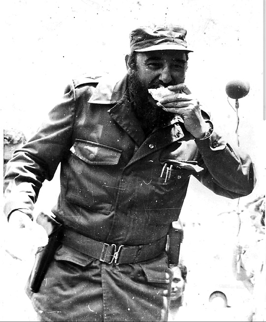 Fidel 19